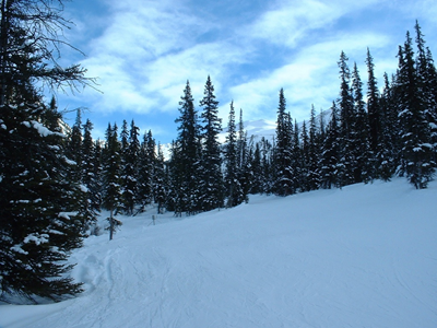 On the way out of Lake Louise 2.JPG